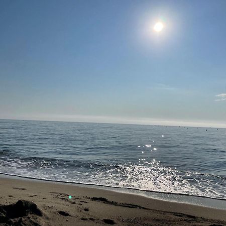 Studio Front De Mer Renove Le Barcarès Zewnętrze zdjęcie